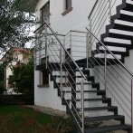 Carpenteria12